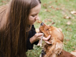 etología canina