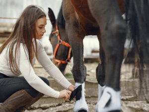 Elegant girl in a farm wiith a horse