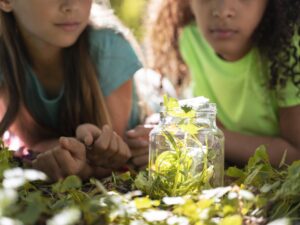 educación ambiental